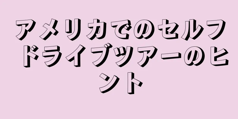 アメリカでのセルフドライブツアーのヒント