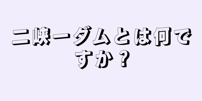 二峡一ダムとは何ですか？