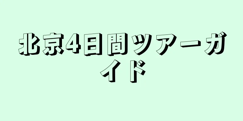 北京4日間ツアーガイド