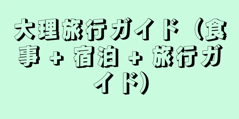 大理旅行ガイド（食事 + 宿泊 + 旅行ガイド）