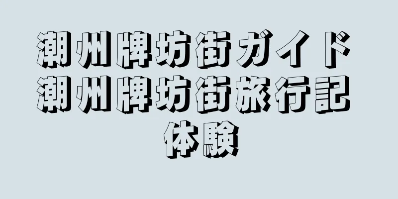 潮州牌坊街ガイド 潮州牌坊街旅行記 体験