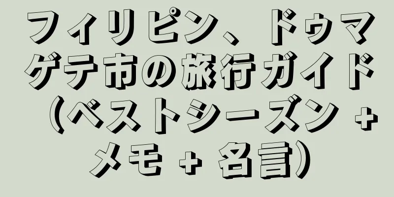 フィリピン、ドゥマゲテ市の旅行ガイド（ベストシーズン + メモ + 名言）