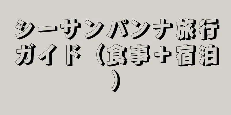シーサンパンナ旅行ガイド（食事＋宿泊）