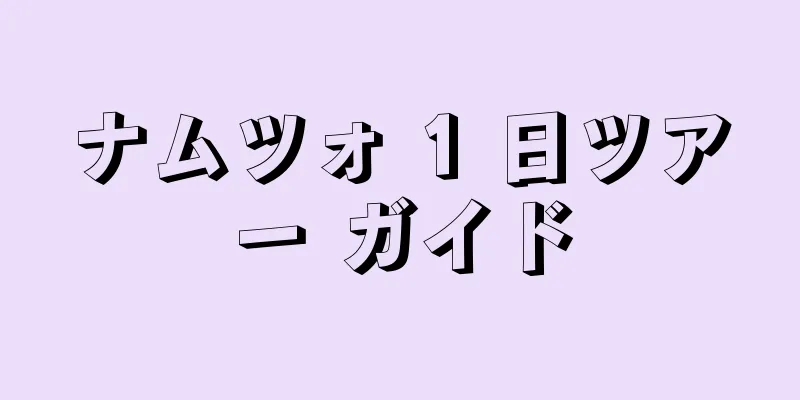 ナムツォ 1 日ツアー ガイド