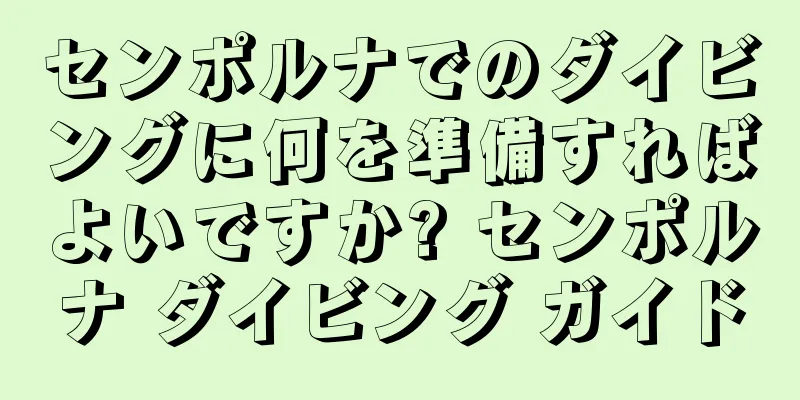 センポルナでのダイビングに何を準備すればよいですか? センポルナ ダイビング ガイド