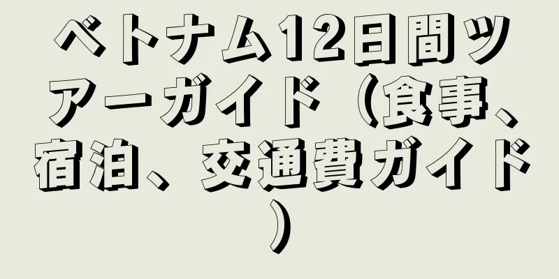 ベトナム12日間ツアーガイド（食事、宿泊、交通費ガイド）