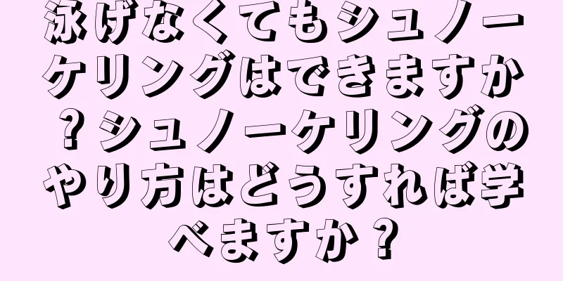 泳げなくてもシュノーケリングはできますか？シュノーケリングのやり方はどうすれば学べますか？
