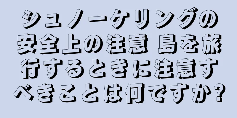 シュノーケリングの安全上の注意 島を旅行するときに注意すべきことは何ですか?