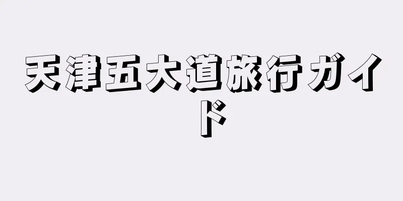 天津五大道旅行ガイド