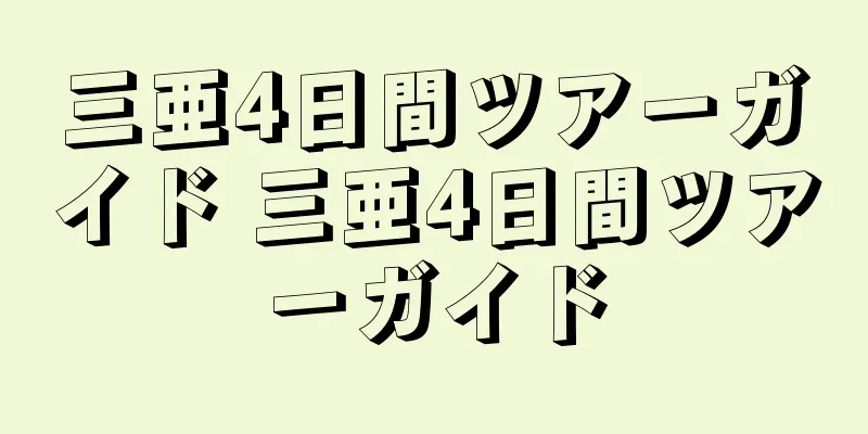 三亜4日間ツアーガイド 三亜4日間ツアーガイド