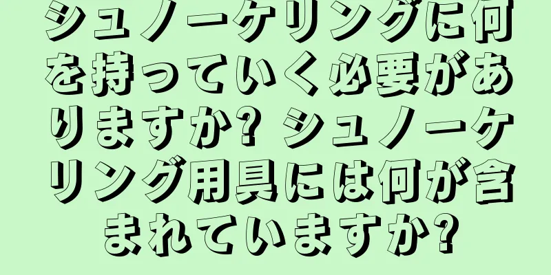 シュノーケリングに何を持っていく必要がありますか? シュノーケリング用具には何が含まれていますか?