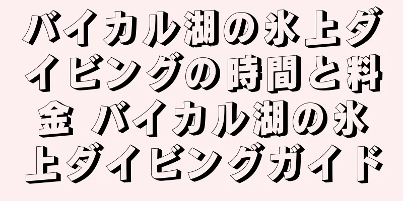 バイカル湖の氷上ダイビングの時間と料金 バイカル湖の氷上ダイビングガイド