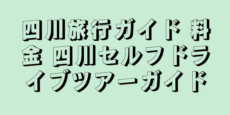 四川旅行ガイド 料金 四川セルフドライブツアーガイド