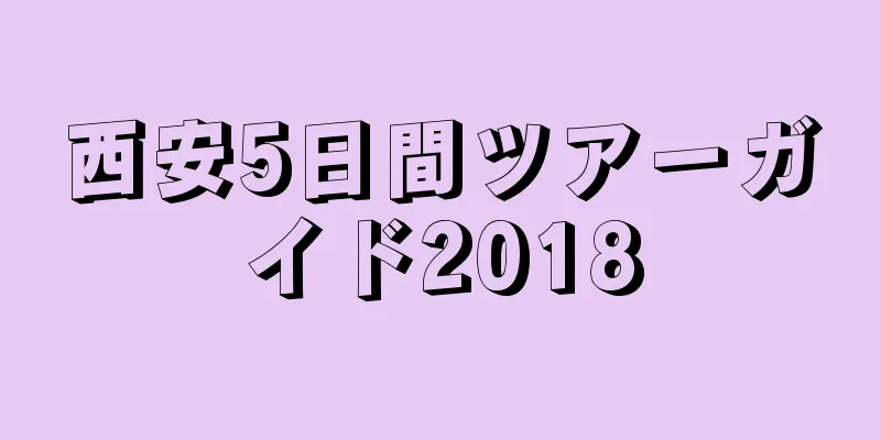 西安5日間ツアーガイド2018