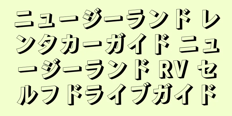 ニュージーランド レンタカーガイド ニュージーランド RV セルフドライブガイド