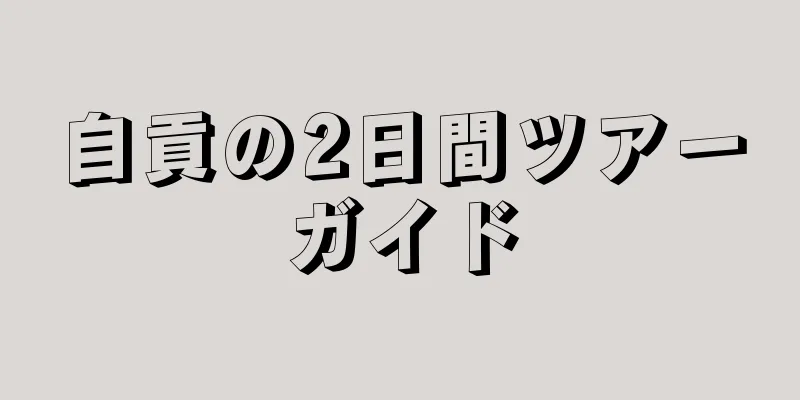 自貢の2日間ツアーガイド