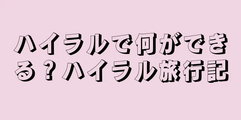 ハイラルで何ができる？ハイラル旅行記