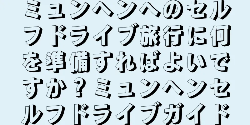 ミュンヘンへのセルフドライブ旅行に何を準備すればよいですか？ミュンヘンセルフドライブガイド