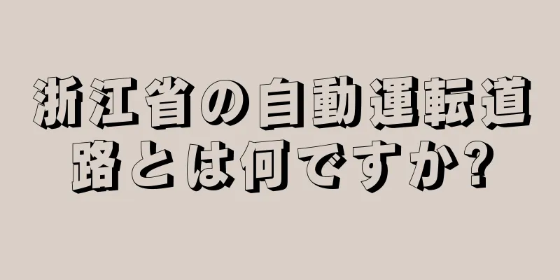 浙江省の自動運転道路とは何ですか?