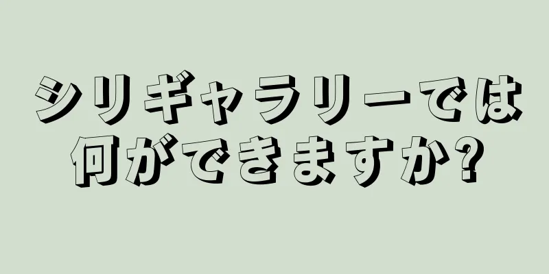 シリギャラリーでは何ができますか?
