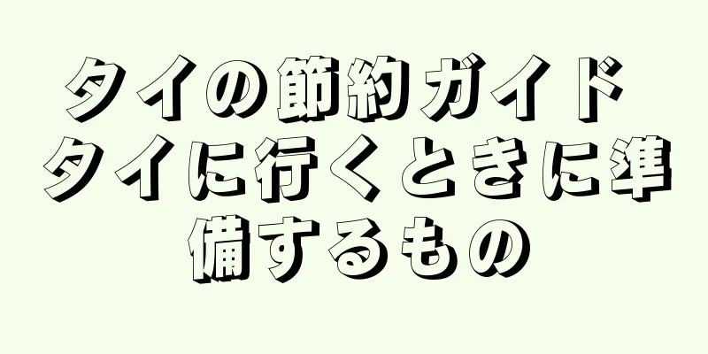 タイの節約ガイド タイに行くときに準備するもの