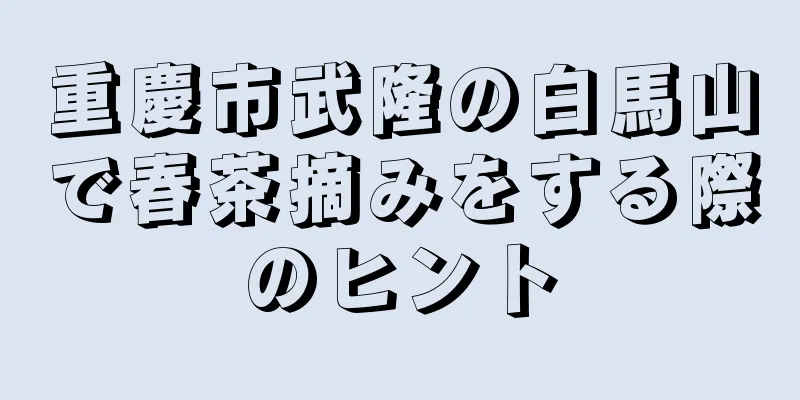 重慶市武隆の白馬山で春茶摘みをする際のヒント