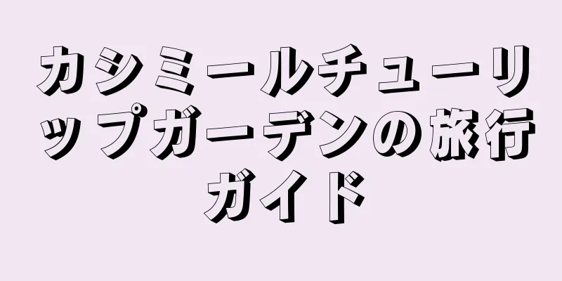 カシミールチューリップガーデンの旅行ガイド