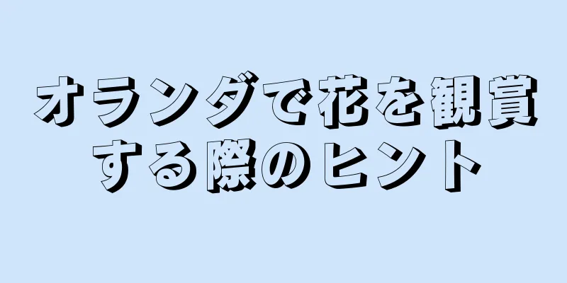 オランダで花を観賞する際のヒント