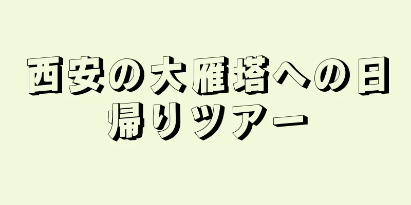 西安の大雁塔への日帰りツアー