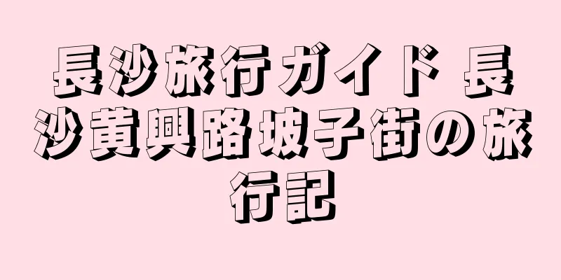 長沙旅行ガイド 長沙黄興路坡子街の旅行記