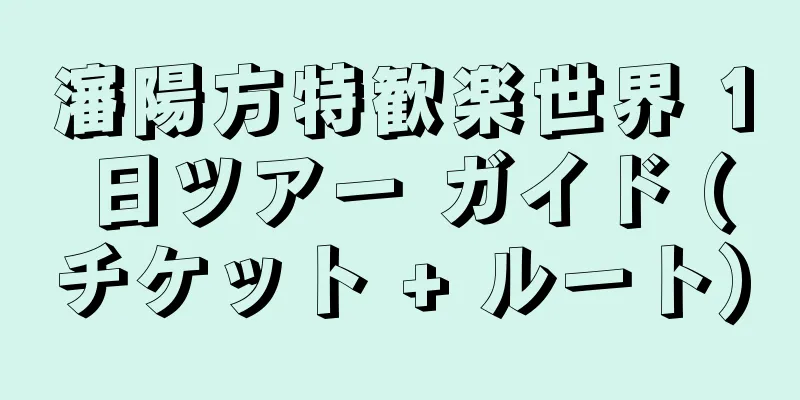瀋陽方特歓楽世界 1 日ツアー ガイド (チケット + ルート)