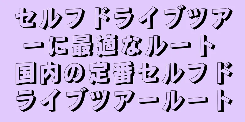セルフドライブツアーに最適なルート 国内の定番セルフドライブツアールート