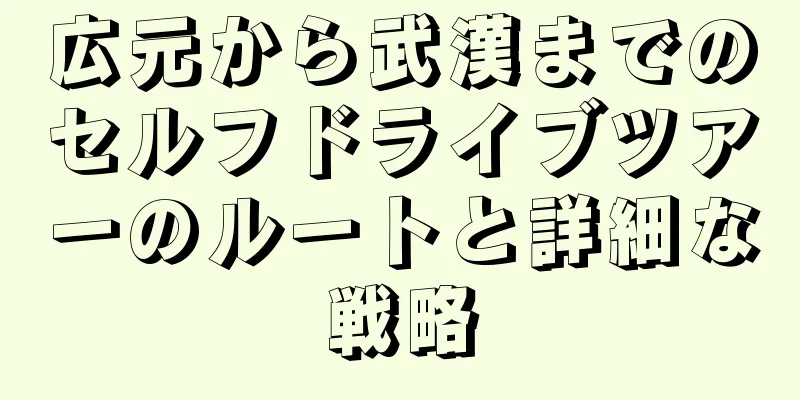 広元から武漢までのセルフドライブツアーのルートと詳細な戦略