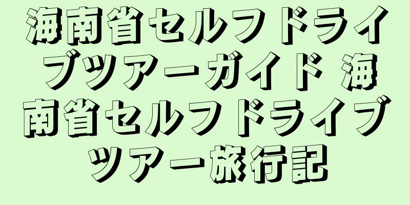 海南省セルフドライブツアーガイド 海南省セルフドライブツアー旅行記