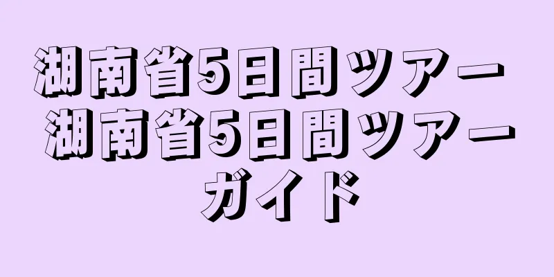 湖南省5日間ツアー 湖南省5日間ツアーガイド