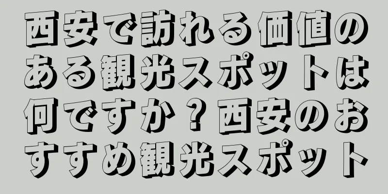 西安で訪れる価値のある観光スポットは何ですか？西安のおすすめ観光スポット