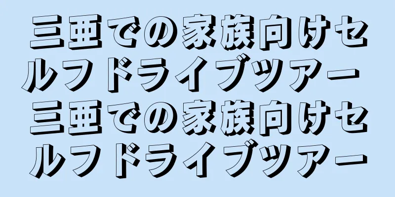 三亜での家族向けセルフドライブツアー 三亜での家族向けセルフドライブツアー