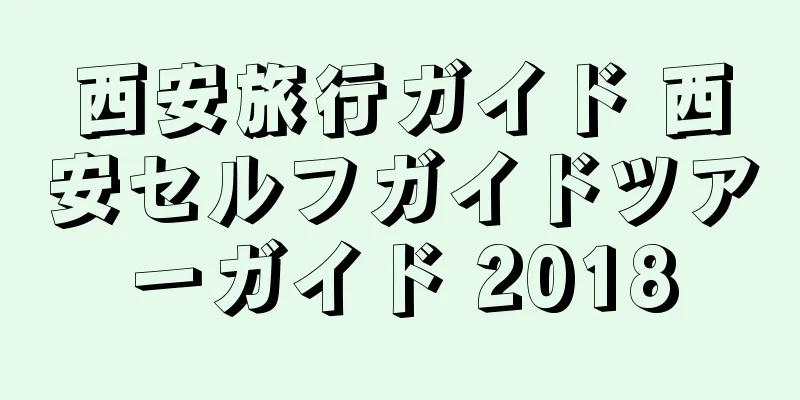 西安旅行ガイド 西安セルフガイドツアーガイド 2018
