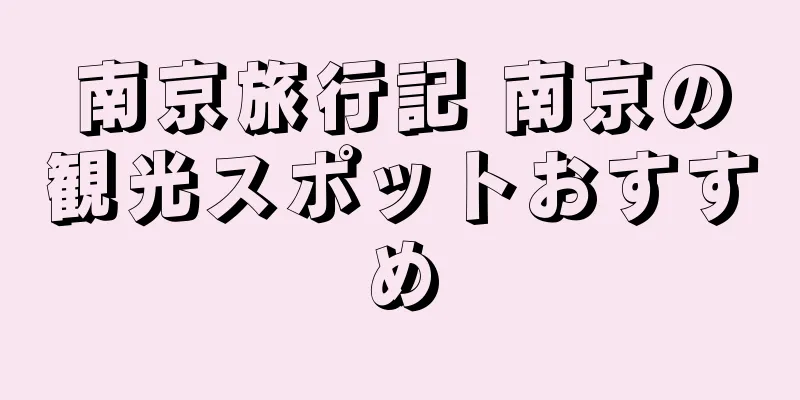 南京旅行記 南京の観光スポットおすすめ