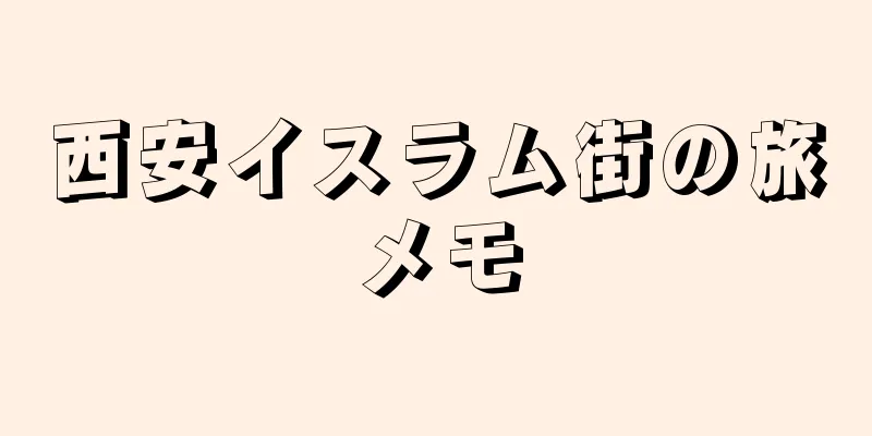 西安イスラム街の旅メモ