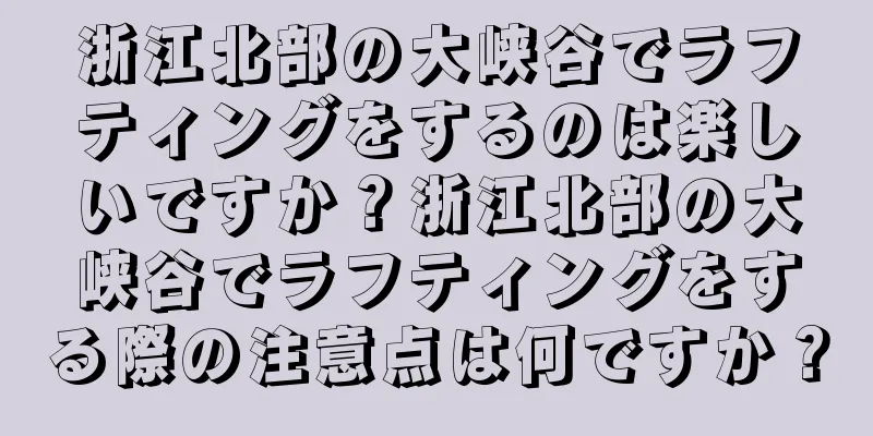 浙江北部の大峡谷でラフティングをするのは楽しいですか？浙江北部の大峡谷でラフティングをする際の注意点は何ですか？