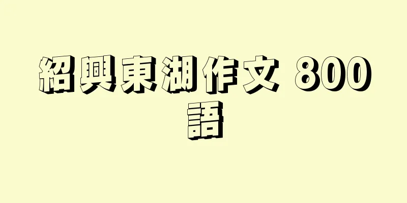 紹興東湖作文 800語