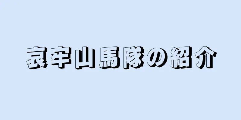 哀牢山馬隊の紹介