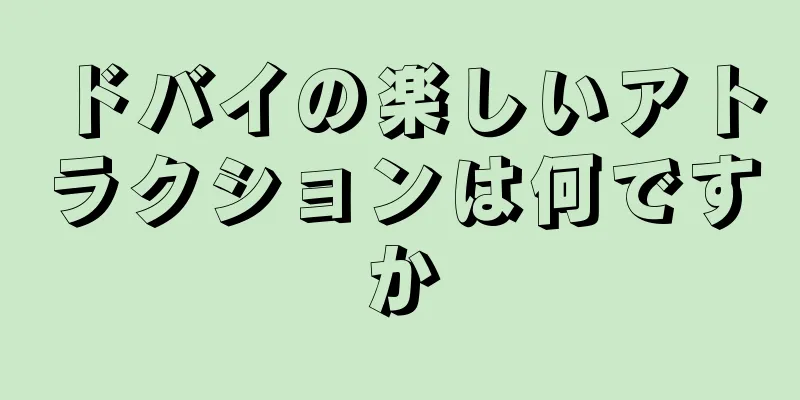 ドバイの楽しいアトラクションは何ですか