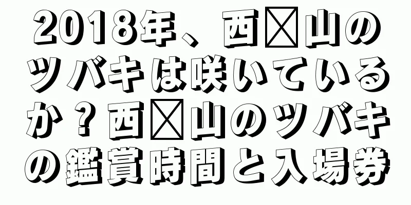 2018年、西桥山のツバキは咲いているか？西桥山のツバキの鑑賞時間と入場券