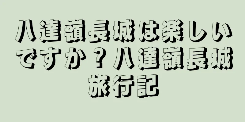 八達嶺長城は楽しいですか？八達嶺長城旅行記