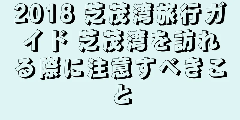 2018 芝茂湾旅行ガイド 芝茂湾を訪れる際に注意すべきこと