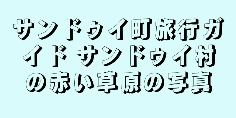 サンドゥイ町旅行ガイド サンドゥイ村の赤い草原の写真