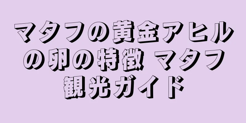 マタフの黄金アヒルの卵の特徴 マタフ観光ガイド