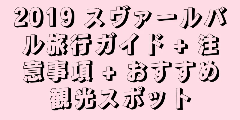 2019 スヴァールバル旅行ガイド + 注意事項 + おすすめ観光スポット
